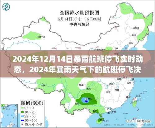 暴雨天气下的航班停飞决策，多方视角与动态分析（实时更新）