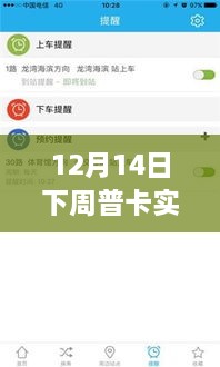 12月14日下周普卡实时状态深度洞察，全面查询与洞察