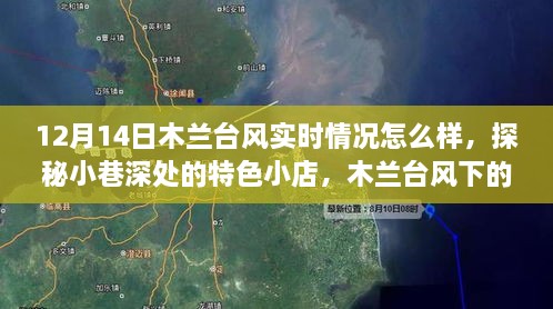 木兰台风下的惊喜发现，小巷特色小店深度探访与实时情况解析（12月14日）