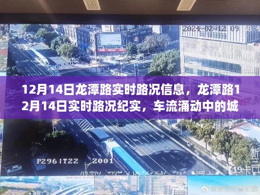 龙潭路12月14日实时路况，车流中的城市生命线