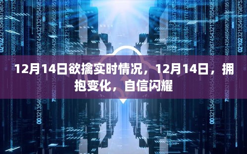 12月14日拥抱变化，实时情况与自信闪耀的瞬间