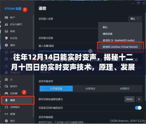揭秘十二月十四日实时变声技术，原理、发展与影响全解析