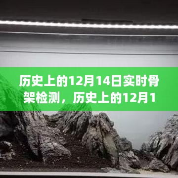 历史上的12月14日，实时骨架检测与自然美景的交融之旅