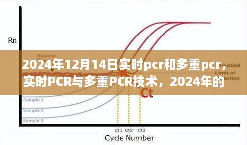 实时PCR与多重PCR技术在2024年的前沿应用与争议