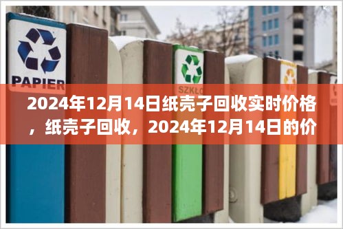 2024年纸壳子回收实时价格与价值分析，影响及趋势展望