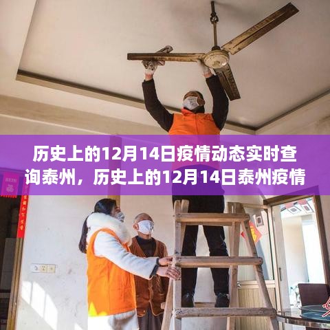 历史上的12月14日泰州疫情动态回顾与影响探讨，实时查询与深度分析