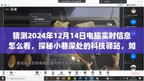 探秘科技驿站，如何洞悉未来日期电脑实时信息——以2024年12月14日为例