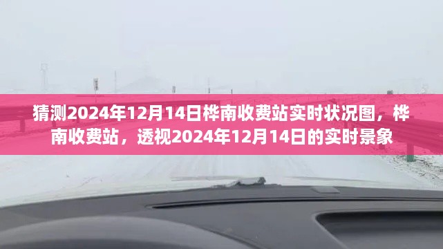 桦南收费站实时景象揭秘，透视未来交通状况图预测分析