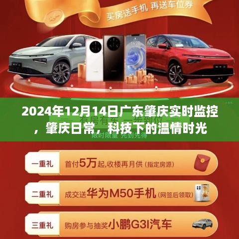 广东肇庆实时监控下的温情时光，科技下的日常观察（2024年12月14日）