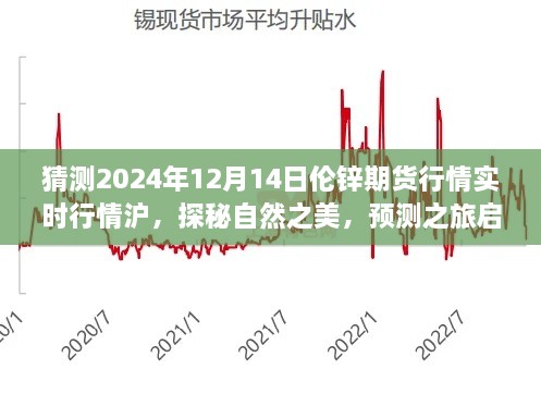 心灵之旅与期货行情的双重收获，探索自然之美，预测伦锌期货行情与寻找心灵宁静的旅程（2024年伦锌期货行情展望）