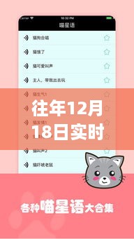 历年十二月十八日回望猫语翻译器的诞生、影响与下载奇迹