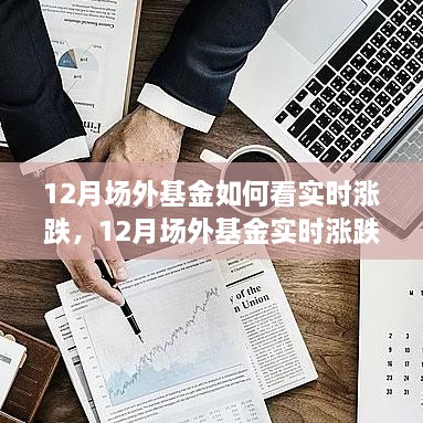 深度解析，12月场外基金实时涨跌观察与用户体验报告