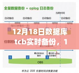 12月18日数据库TCB实时备份，全面评测与详细介绍