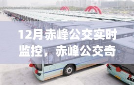 赤峰公交奇遇记，暖心监控下的暖心之旅