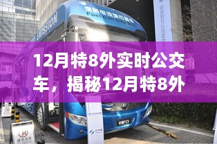 揭秘，12月特8外实时公交车服务升级与智能出行新体验