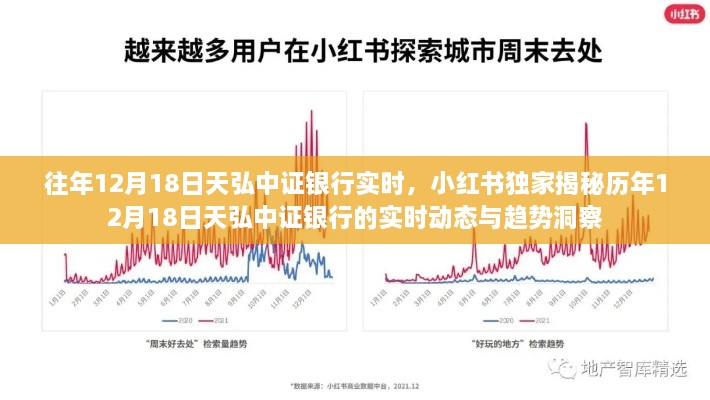 小红书独家揭秘，历年12月18日天弘中证银行实时动态与趋势洞察大揭秘！