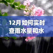 掌握十二月天气变化的关键，实时查雨水量和水压监测方法