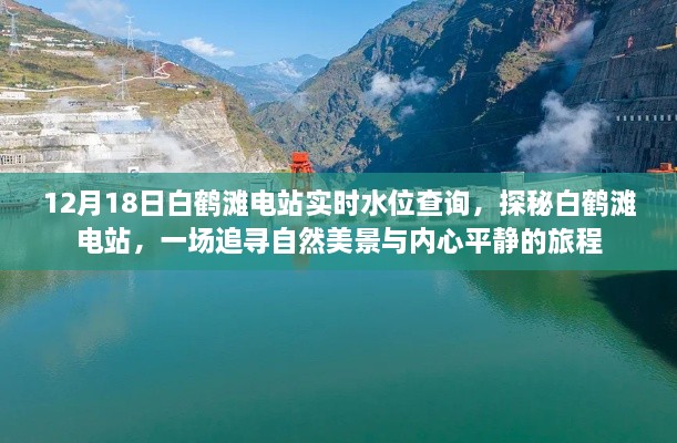 探秘白鹤滩电站，追寻自然美景与内心平静的旅程，实时水位查询揭秘水电站风采