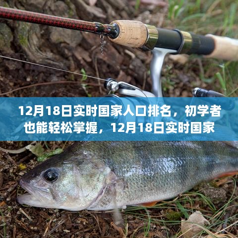 12月18日实时国家人口排名查询指南，轻松掌握全球人口数据