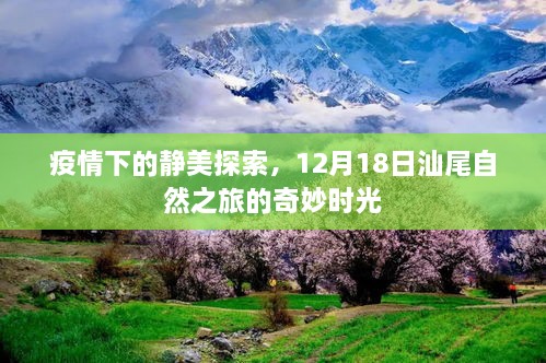 疫情下的自然探索之旅，汕尾自然之旅的奇妙时光（12月18日）