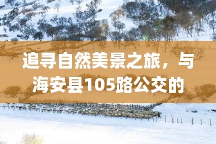 追寻自然美景之旅，海安县公交冬日奇遇记