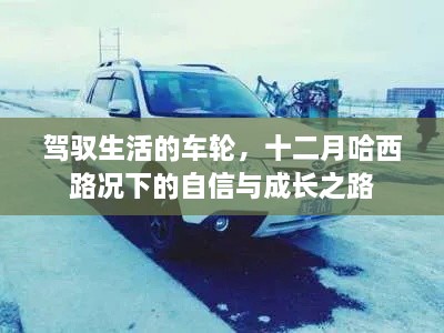 驾驭生活的车轮，十二月哈西路况下的自信成长之旅