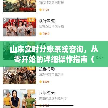 山东实时分账系统操作指南，从入门到进阶的详细操作咨询