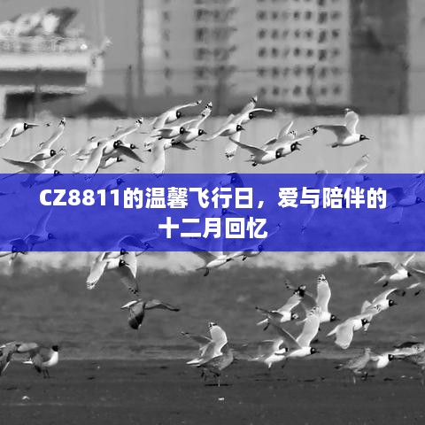 CZ8811温馨飞行日，爱与陪伴的十二月时光