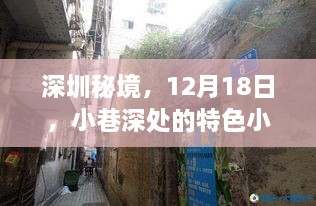 深圳秘境探秘，特色小店与地铁实时之旅（12月18日）