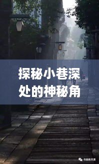 探秘小巷深处的神秘角落，FCPX实时清理软件专卖店揭秘