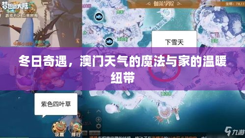 冬日澳门，天气的魔法与家的温馨纽带