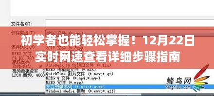 初学者必备！查看实时网速的详细步骤指南（12月22日更新）