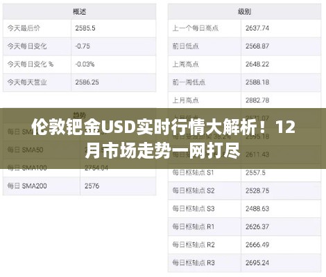 伦敦钯金USD实时行情深度解析，12月市场走势预测