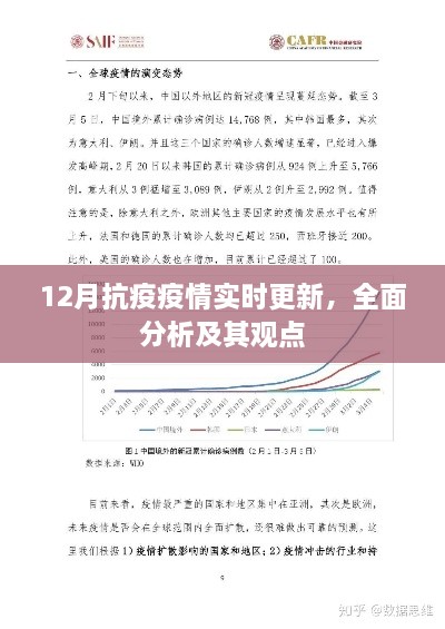 12月抗疫疫情最新动态，全面分析与观点