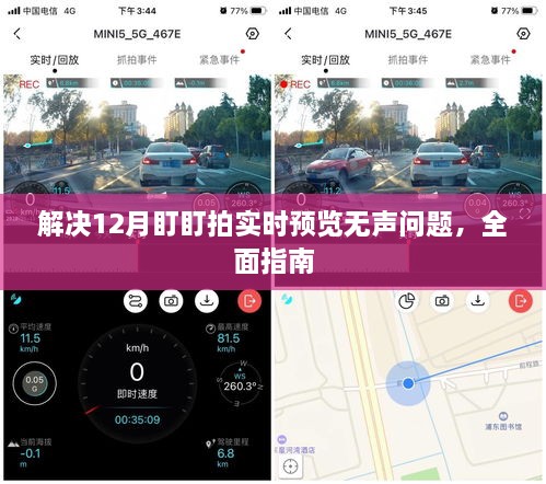 解决盯盯拍12月实时预览无声问题，全面指南