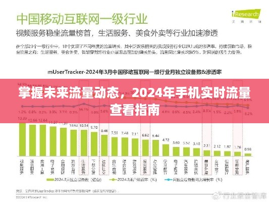 掌握未来流量动态，2024年手机实时流量监控指南