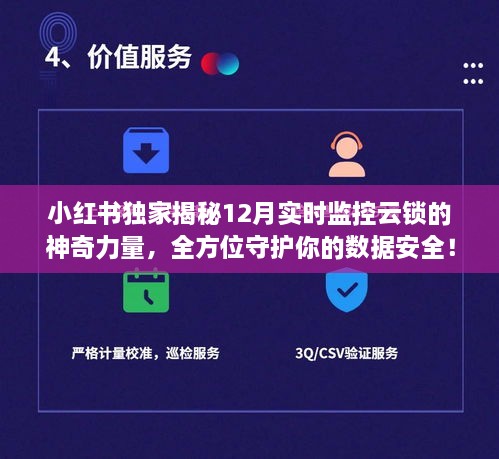 小红书独家揭秘，实时监控云锁守护数据安全，全方位保障你的网络安全！