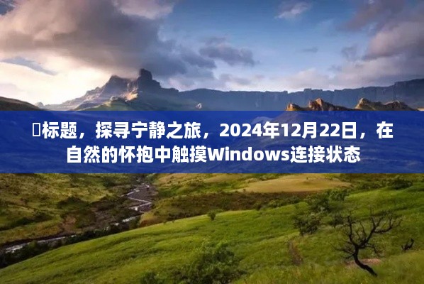 探寻宁静之旅，自然怀抱中的Windows连接状态体验日 2024年12月22日