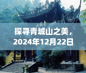 青城山实时景色探寻，深度体验与感悟，2024年12月22日的美景思考