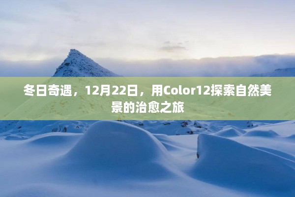 冬日奇遇，Color12治愈之旅探索自然美景的冒险之旅（12月22日）