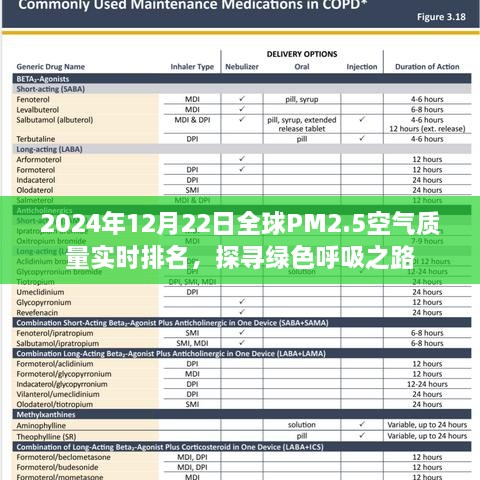 全球PM2.5空气质量实时排名，探寻绿色呼吸之路（2024年12月22日）