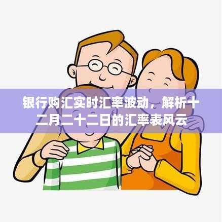 银行购汇实时汇率波动解析，12月22日汇率表风云分析