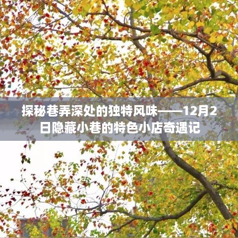 探秘巷弄深处的独特风味，特色小店奇遇记——12月2日隐藏小巷的美食之旅