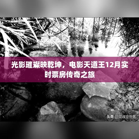 电影天道王12月实时票房传奇之旅，光影璀璨映乾坤