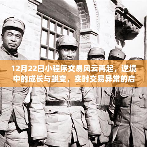 12月22日小程序交易风云，逆境中成长与蜕变，实时交易异常的启示