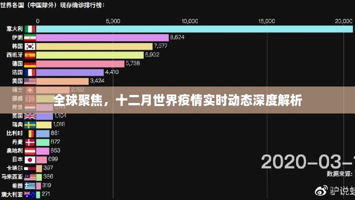 全球关注焦点，十二月世界疫情实时动态深度解析与探讨