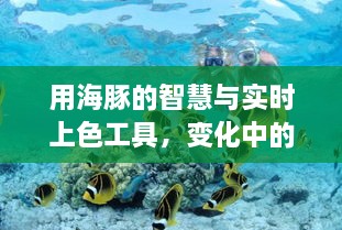 海豚智慧与实时上色工具，开启自信与成就感的奇妙学习之旅