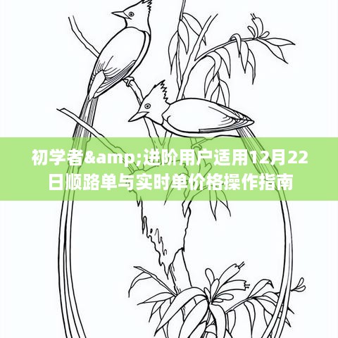 初学者与进阶用户，顺路单与实时单价格操作指南（12月22日版）