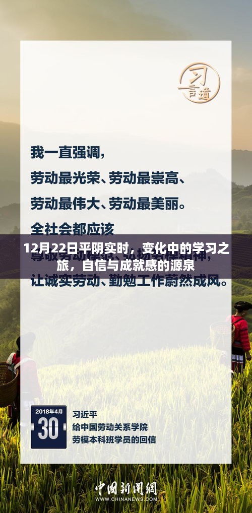 12月22日平阴实时，变化中的学习之旅，激发自信与成就感的源泉