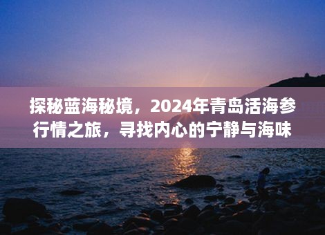 探秘蓝海秘境，青岛活海参行情之旅，味蕾与心灵的双重盛宴（XXXX年）